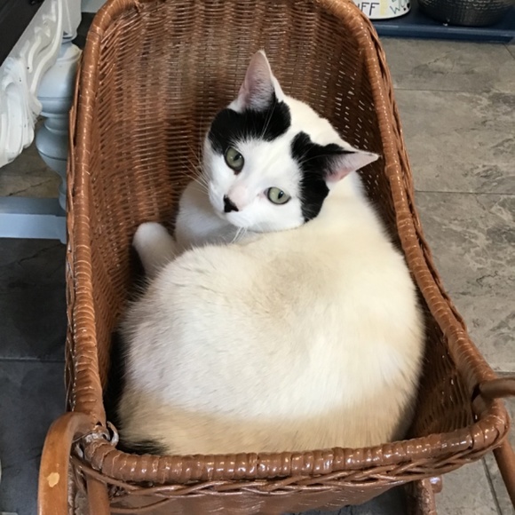 Meet your Posher, Susanne - Picture 8 of 16